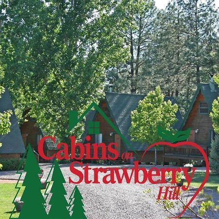 فندق Pineفي  Cabins On Strawberry Hill المظهر الخارجي الصورة