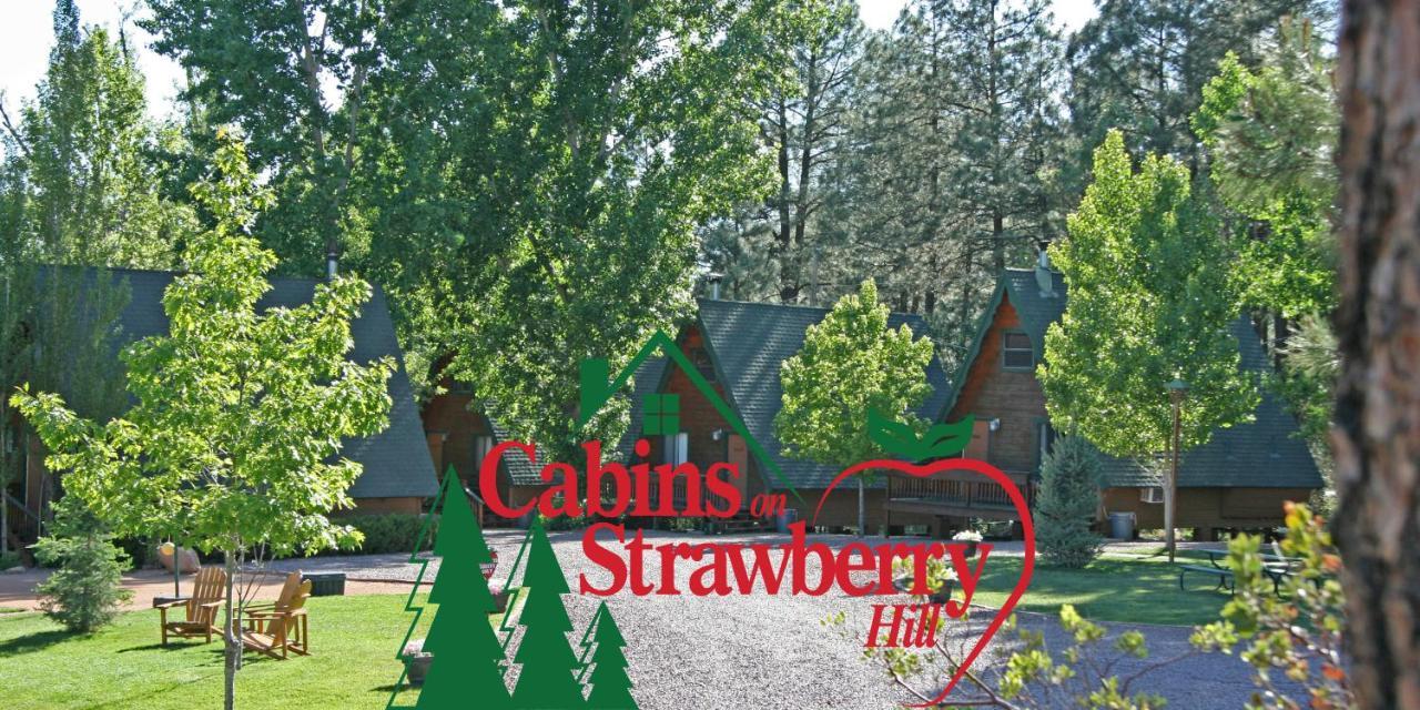 فندق Pineفي  Cabins On Strawberry Hill المظهر الخارجي الصورة