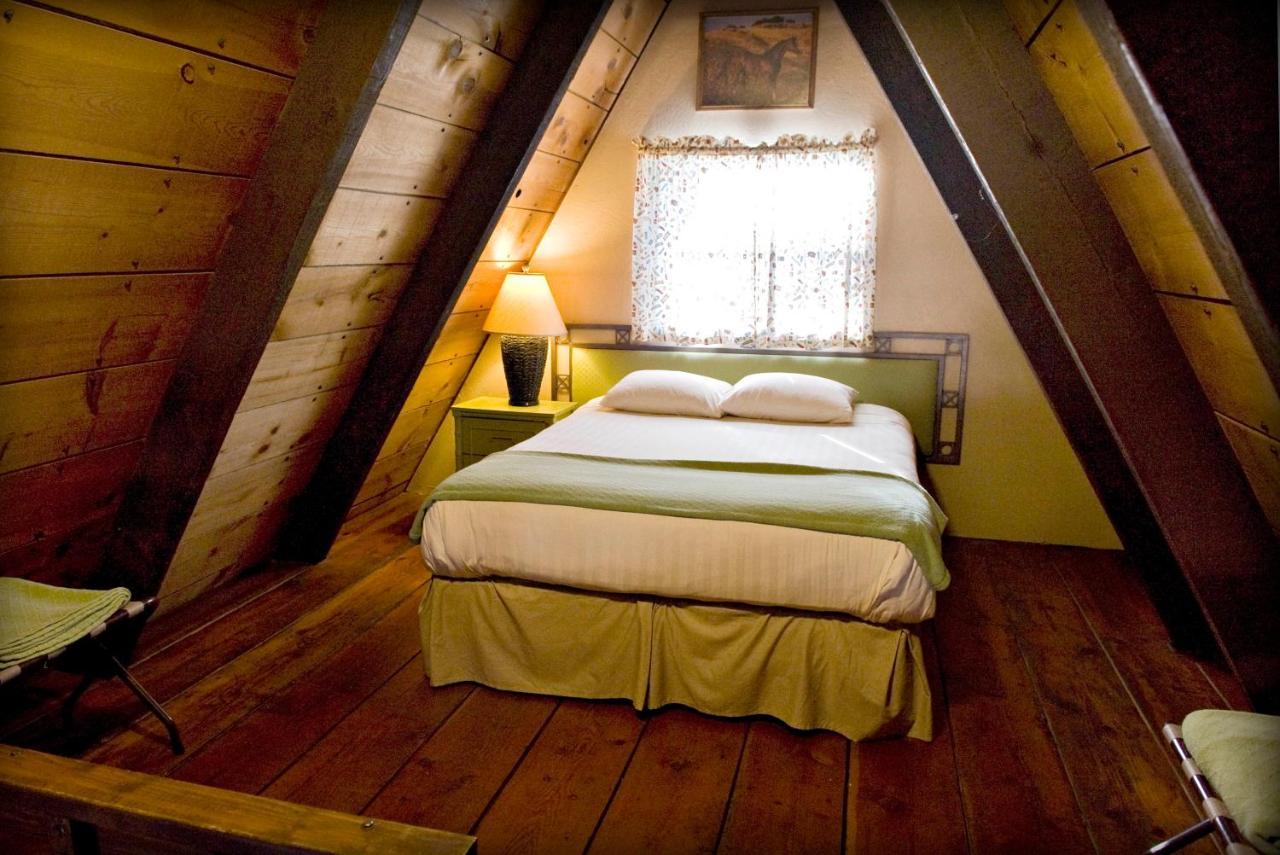 فندق Pineفي  Cabins On Strawberry Hill المظهر الخارجي الصورة