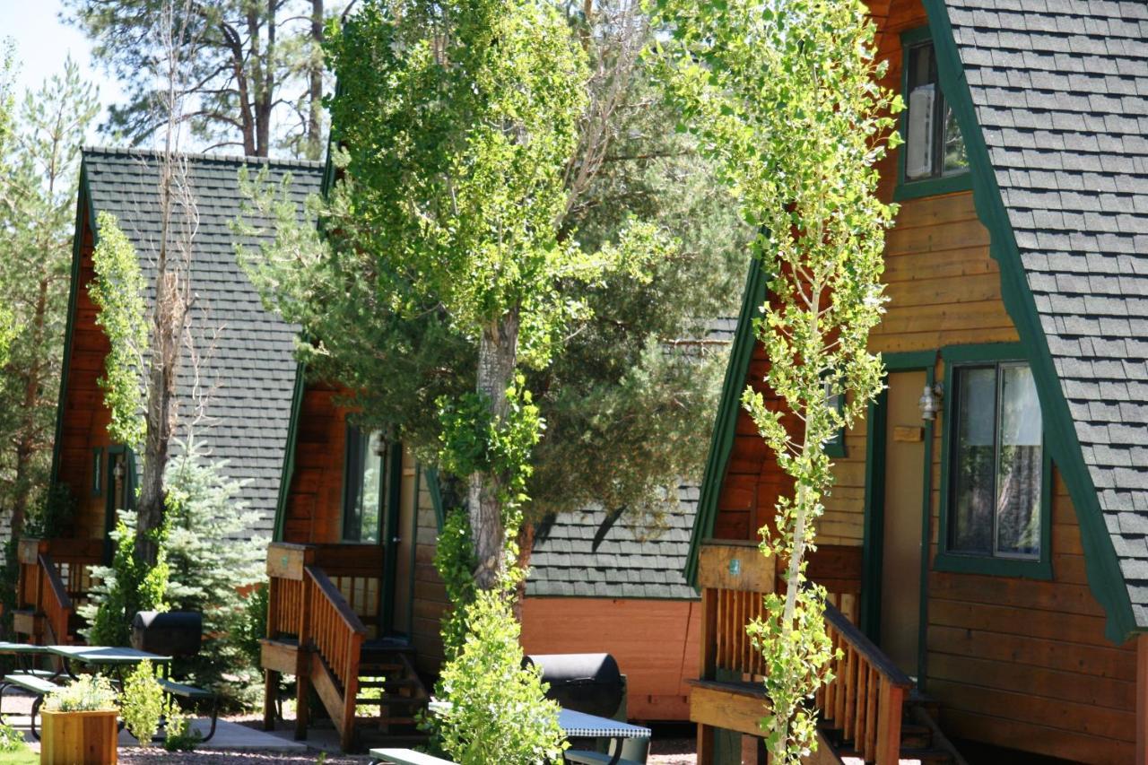 فندق Pineفي  Cabins On Strawberry Hill المظهر الخارجي الصورة