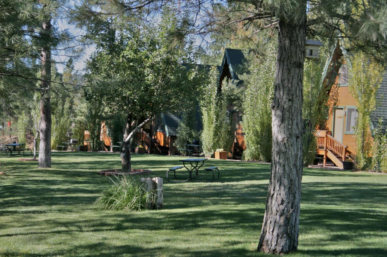 فندق Pineفي  Cabins On Strawberry Hill المظهر الخارجي الصورة